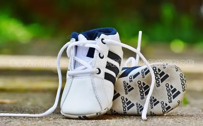 XCSport网页版入口