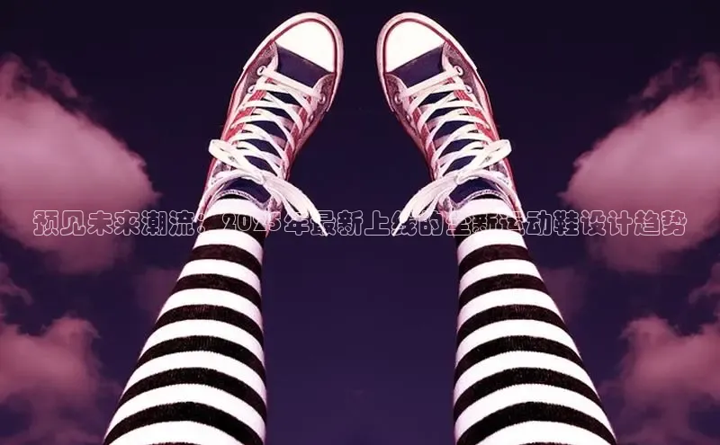 XCSport网页版入口