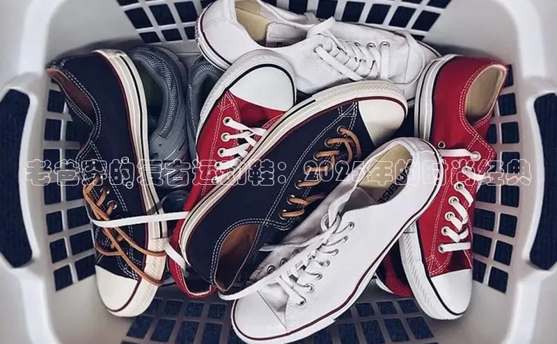 XC网页版入口