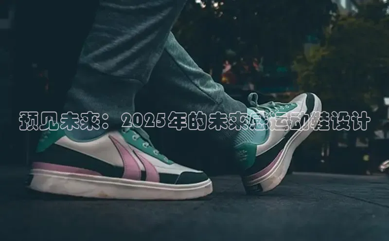 XC网页版入口